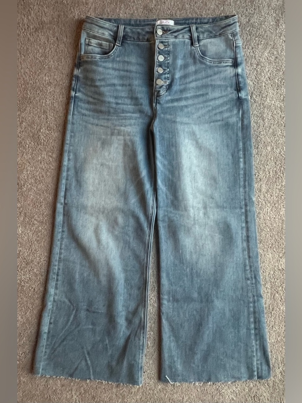 High-Rise Wide Leg Jeans in Faded Blue Wash